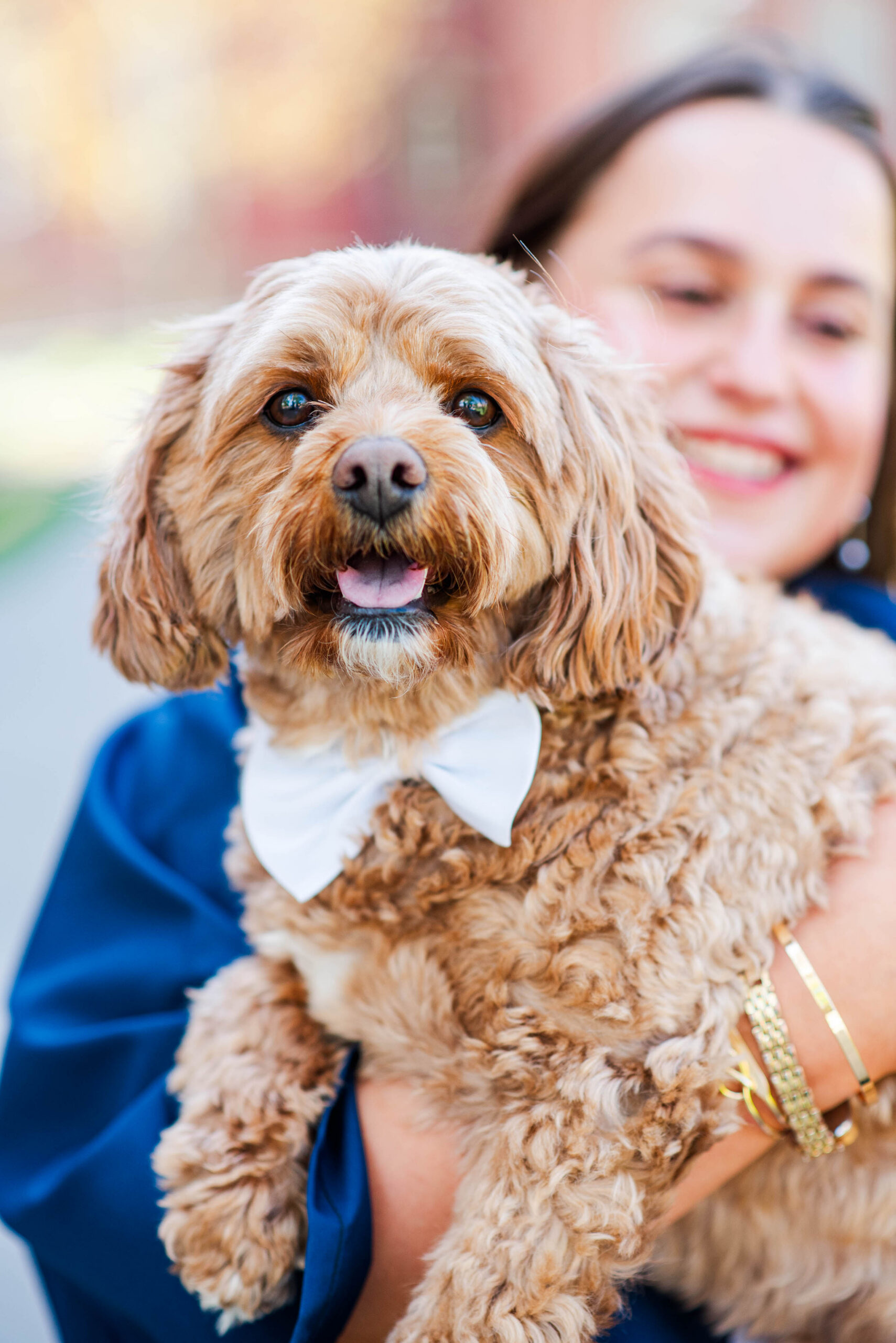 smiling woman holding a fluffy brown dog wearing a white bow tie close up portrait